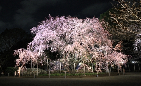 六義園